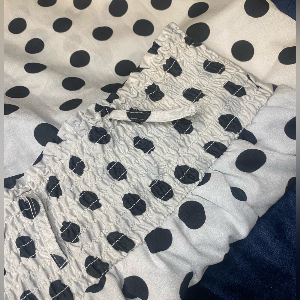 Polka Dot Pants: Wide Leg, Sheer, Floor Length, Elasticated Back - Picture 5 of 6